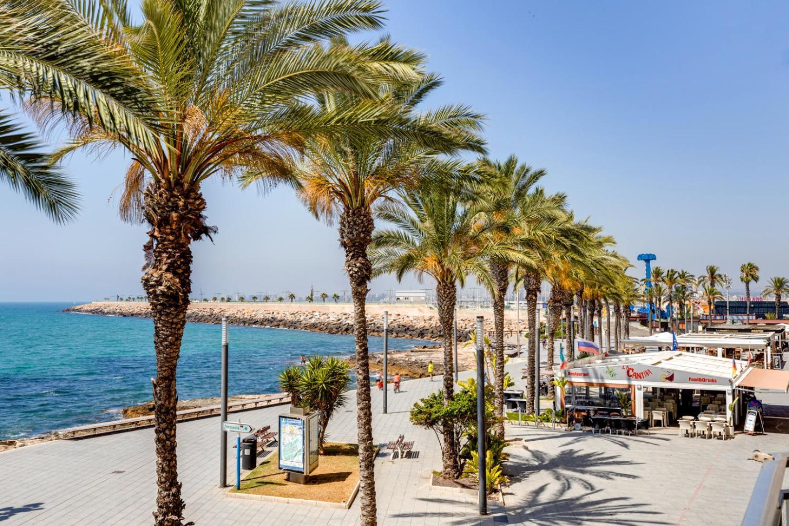 Calle Concordia 86, Two Bedroom Apartment, Up To 6 Guests, Near Del Cura Beach,Supermarket Mercadona And Central Bus Station تورّيفيِخا المظهر الخارجي الصورة