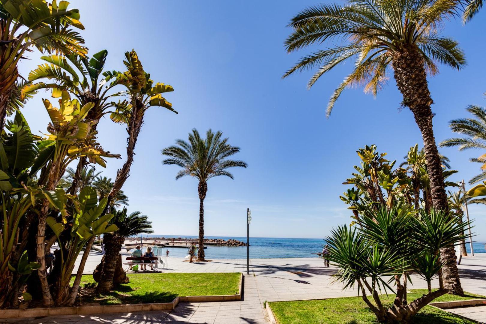 Calle Concordia 86, Two Bedroom Apartment, Up To 6 Guests, Near Del Cura Beach,Supermarket Mercadona And Central Bus Station تورّيفيِخا المظهر الخارجي الصورة